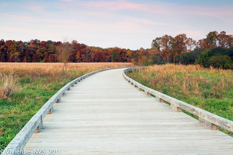 Illinois 10th Congressional Banner Image